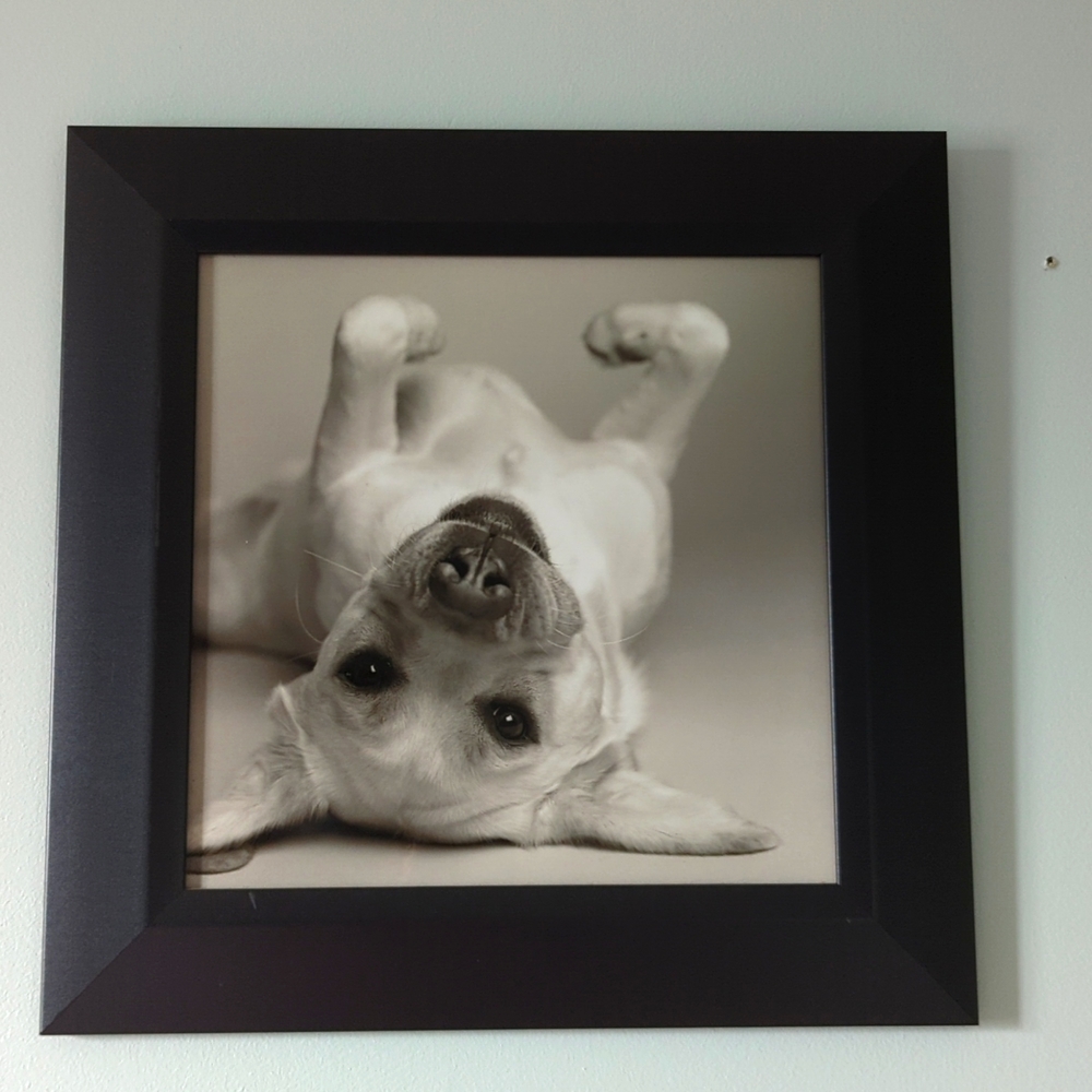 EUC Puppy picture in frame